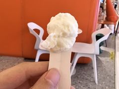 -野人先生现做冰淇淋(北京王府井东方新天地店)