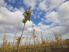 -广富林郊野公园