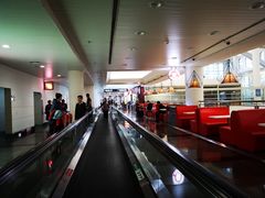 -厦门高崎国际机场-T3航站楼