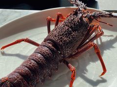 澳洲龙虾-无锡苏宁银河国际酒店-悦府65中餐厅