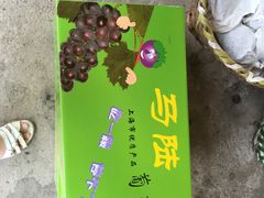 -马陆小张葡萄园农家乐