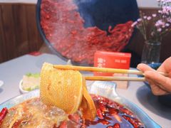 -渝大龙重庆火锅(温泉月亮湾店)