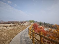 -白水寺森林公园