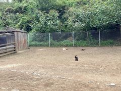 -北京山里寒舍度假酒店