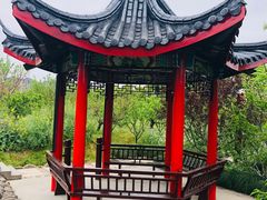 -南汇桃花村
