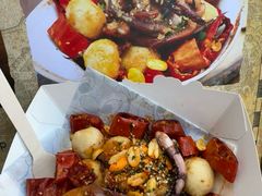 -迪士尼乐园停车场