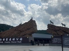 -茅兰沟国家森林公园