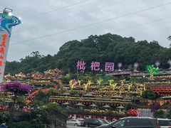 -枇杷园食为鲜火锅(南山店)