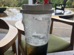 白桃乌龙-三亚国光豪生度假酒店-椰语堂(国光豪生店)
