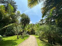-中国科学院西双版纳热带植物园