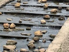 -光明小镇欢乐田园