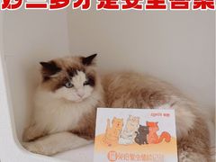 -瑞鹏宠物医院·爱宠堂·骨外专科(西荷分院)