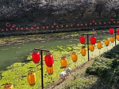 -韩湘水博园