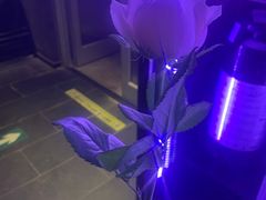 -道乐烧肉酒馆