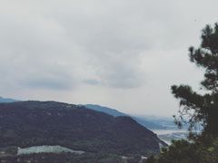 -铁山坪森林公园