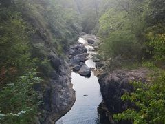 -大奇山国家森林公园