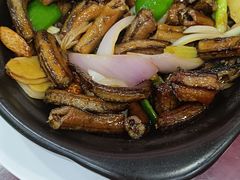-雄仔农家菜馆·特色葱油鸡(六祖店)