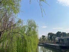 -上海浦江郊野公园-3号停车场