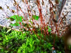 -华蓥山天意谷景区