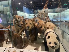 -浙江自然博物院(杭州馆)
