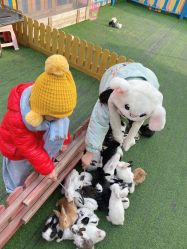 -萌宠亲子动物乐园(槐房万达店)