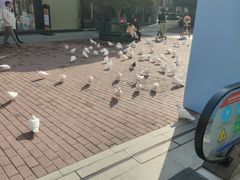 -王府井奥莱临潼小镇(临潼店)