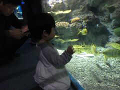 -福州罗源湾海洋世界旅游区