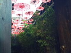 -星巴克臻选(成都宽窄巷子店)