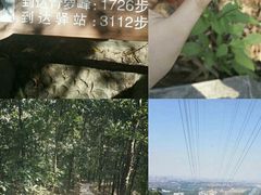 -滴水岩森林公园
