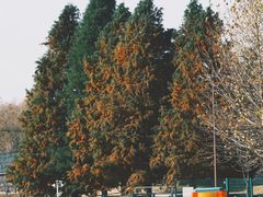 -羊亭河湿地公园