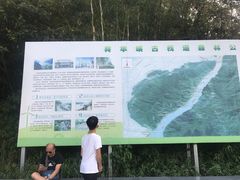 -羚羊峡古栈道森林公园
