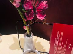 -哈根达斯(卓展店)