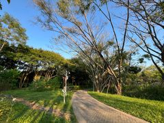 -福田红树林生态公园
