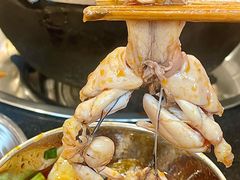-鸿顺老铁锅美蛙鱼府(解放碑店)