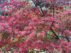 -沐仙湖湿地公园