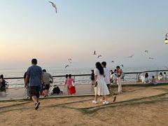 -东港音乐喷泉广场