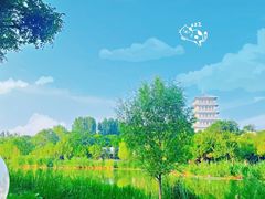 -Supine Bistro溯泮餐厅