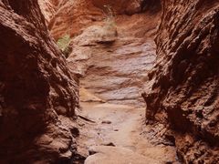 -天山神秘大峡谷