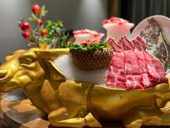 -尚海豆捞(乐虹坊店)