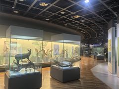 -陕西自然博物馆