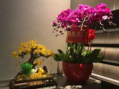 -望京辣宴·古法川菜(望京店)