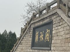 -解放阁