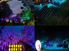 -茅山东方盐湖城景区