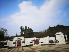 -铁山坪森林公园