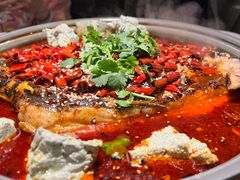 -探鱼·鲜青椒爽麻烤鱼(番禺万达店)
