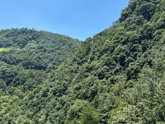 -溪口-滕头旅游景区