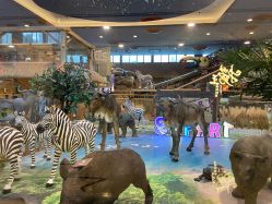 -卡通尼·Safari非洲探索乐园·生日会(金桥国际商业广场店)