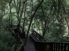 -梅州天地人花园酒店(梅县人民广场店)