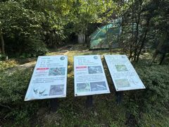 -都江堰中华大熊猫苑