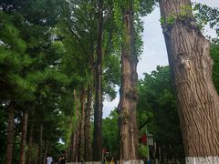 -吉林大学(前卫南校区)